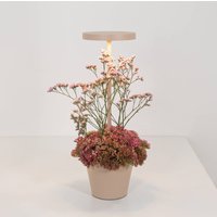 Zafferano Poldina Reverso rechargeable table lamp, sand
