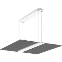 BEGA RZB Twindot S Square LED hanging DALI 64 cm 830