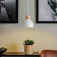 Envostar Tira pendant light, 1-bulb, white