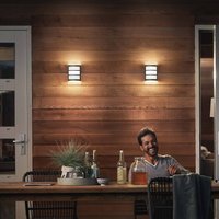 Philips LED outdoor wall light Python UE, grey
