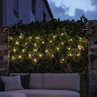 Paulmann Soala LED solar fairy lights, IP44, black, 30 lights