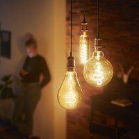 Philips E27 LED bulb globe G95 3.1W 1,800K gold