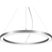 BRUMBERG Biro Circle Ring5 direct Ø 75 cm DALI silver 3000 K