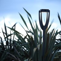 Lampa solarna LED Tulip z grotem ziemnym, antracyt