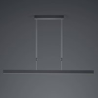 HELL Delta LED-pendellampa, 130 cm, svart