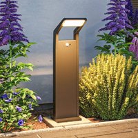 Paulmann Borne lumineuse LED Juntea, aluminium, anthracite, capteur