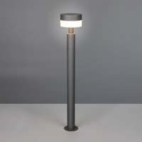 Trio Lighting Mackenzie LED path light, height 95 cm, anthracite, cast aluminium