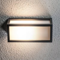 Lucande Tame outdoor wall light, anthracite, metal, 25 cm
