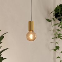 EGLO Pozueta 1 pendant light, 1-bulb, brass
