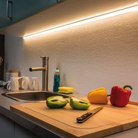 Paulmann MaxLED 500 strip IP44 1 m warm white