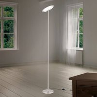 ORION LED-uplight-golvlampa Oscar dimbar skärm justerbar