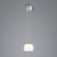 BANKAMP Grand Clear Suspension LED, 1fl, Ø 20 cm