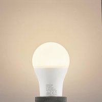Arcchio lampe LED E27 A60 13,5W opal 3.000K 1521lm