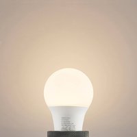 Arcchio LED bulb E27 A60 4.9W opal 3,000K 480 lm