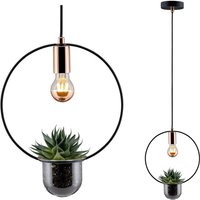 Paulmann Tasja pendant lamp with a plant pot