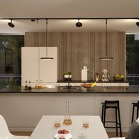 Paulmann URail Hildor LED spot black 3,000 K
