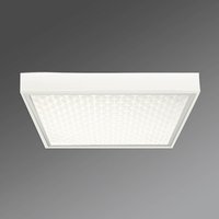Regiolux Protection-PRAMP 660 office ceiling light