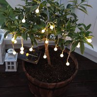 STAR TRADING Varmvitt lysande, soldriven LED-ljusslinga Globini