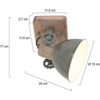 Steinhauer Gearwood downlight, 1-bulb green
