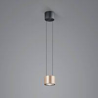 BANKAMP Impulse Flex LED-hänglampa 1 lampa ros