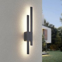 Trio Lighting TAWA LED outdoor wall lamp, anthracite, 62 cm metal, 2-bulb, IP54