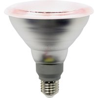 LIGHTME LED grow light bulb E27 PAR38 12W 50° beam angle