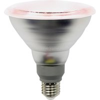 LIGHTME LED plantlampa E27 PAR38 12W 50° spridningsvinkel