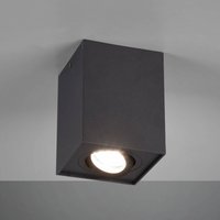 Trio Lighting Biscuit ceiling light, one-bulb, black