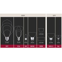 Paulmann E27 LED bulb 9W filament 2,700K matt