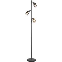 Reality Leuchten Golvlampa Cadiz, svart/antracit, 3 lampor, höjd 154 cm
