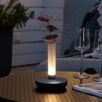 Konstsmide Biarritz LED table lamp, IP54, battery, CCT, grey