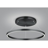 Knapstein Suspension LED Lisa-D, annulaire, noire