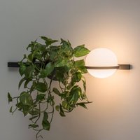 Vibia Palma 3702 Vägglampa, planteringskruka, grafit