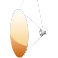 Luceplan Amisol LED-pendellampa Ø 110cm guld