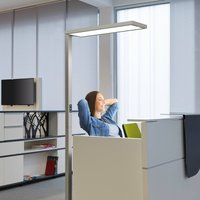 Lampadaire de bureau LED MAULsenja, couleur argent, capteur, 196 cm