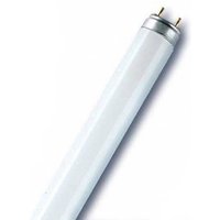 OSRAM G13 T8 36 W Fluora fluorescent grow light bulb
