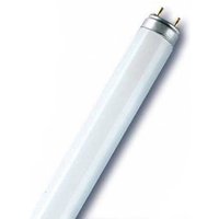 OSRAM G13 T8 lågenergilampa 36W Floura för växter