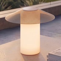 Lucande ZAMIRAS LED patio light, 40 cm, silver, IP65