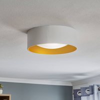 Lampa sufitowa Euluna Moss, biała/złota