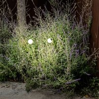 FARO BARCELONA Lampe pour socle LED Cuca, noir, acier inoxydable/verre, hauteur 65 cm