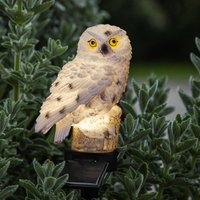STAR TRADING Owl LED solar light with a ground spike