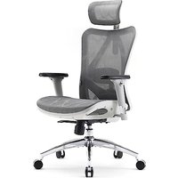 SIHOO Ergonomic Office Chair Mesh Desk Chair with Adjustable Lumbar Support 3D Armrests Breathable High Back Computer Chair (Light Gray)