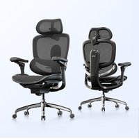 SIHOO Doro C300 Pro V2 Office Chair, Full-Body Adaptive Support, Black | 8D Armrests, Breathable Mesh, 135° Recline, High Back, for Long Work Session