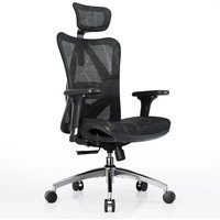SIHOO M57 Ergonomic Office Chair with Adjustable Lumbar Support, Mesh Desk Chair with 3D Armrests and 2D Headrest, Breathable High Computer Chair (Bla