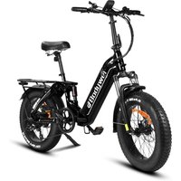 Bodywel F20 Pro Electric Bike - 250W Brushless Motor, 748.8Wh Battery, 70-100 km Range, Hydraulic Disc Brakes, Easy Assembly Black