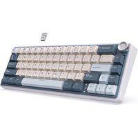 RK ROYAL KLUDGE R65 Mechanical Keyboard Wireless with Volume Knob, Gasket Mounted 60% Gaming Keyboard with 66Keys, Tri-Mode 2.4G/USB-C/BT US Layout PB