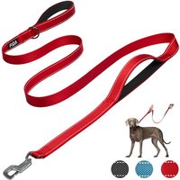 Fida Heavy Duty Dog Leads for Medium/Large Dogs, 1.8M / 6FT Traffic Handle & Advanced Hook for More Control, Reflective Dog Lead for Daily Walking & T