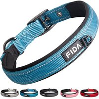 Fida Padded Dog Collar, Metal Belt Buckle Dog Collar with Double-Layer Webbing, Heavy Duty Collar for Small Dogs, Blue