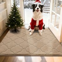 COSY HOMEER Front Door Mat 80x120 CM, Dirt Trapper Floor Mat, Polyester Welcome Door Mat for Kitchen Room Office Entryway Doors, Absorbent Non-Slip Lo