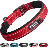 Fida Padded Dog Collar, Metal Belt Buckle Dog Collar with Double-Layer Webbing, Heavy Duty Collar for Medium Dogs, Red